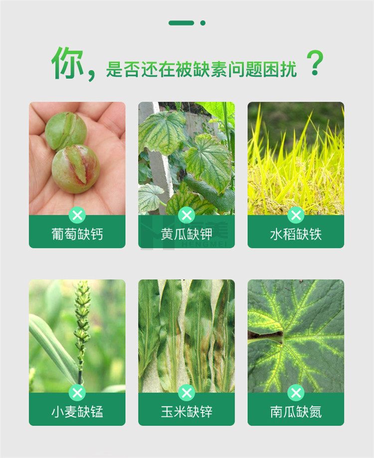 高智能土壤養(yǎng)分檢測儀怎么選？